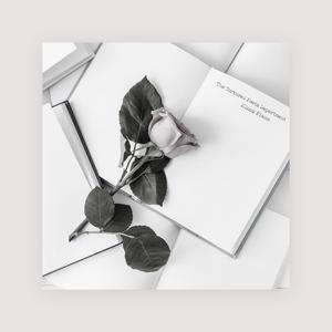 白珊珊裸一级毛片
